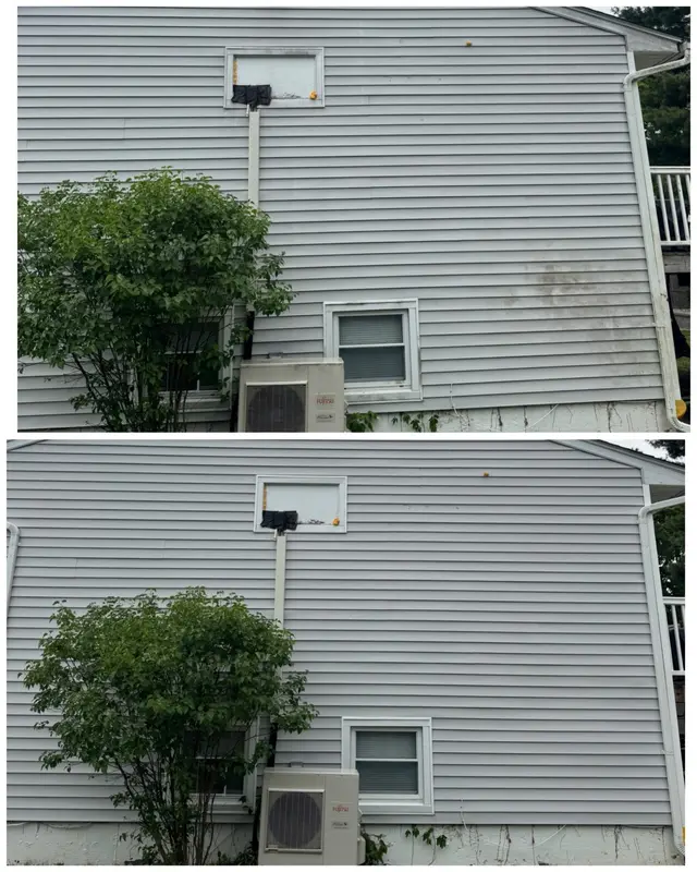 Before and after comparison of rear vinyl siding after soft washing